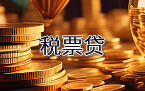 贵港税票贷